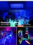 Black Light NZ Clearance Carousel 9