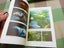 Awesome Vintage NZ Souvenir Guide Book Napier Aquarium And Dolphin Pool Carousel 4