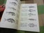 Awesome Vintage NZ Souvenir Guide Book Napier Aquarium And Dolphin Pool Carousel 6