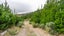gallery view thumbnail