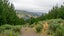 gallery view thumbnail