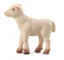Lamb standing figurine collectA Carousel 1