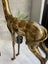 — Large Mid Century Brass Gazelle — Carousel 5