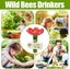 4 Pcs Bee Watering Station for Gardens Lawn Patio Pollinators Feeder Accessories Carousel 5