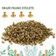 1000Pcs Beekeeper Beekeeping Beehive Bee Hive Brass Frame Eyelets Equipments Carousel 8