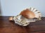Putatara - Taonga Puoro - Large Triton Conch Trumpet Shell - Putatara - Carving Carousel 5