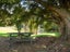 gallery view thumbnail
