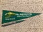 PALMERSTON Gateway To Central Otago NZ Old Vintage Felt Car Aerial Pennant Flag Carousel 2