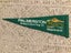 PALMERSTON Gateway To Central Otago NZ Old Vintage Felt Car Aerial Pennant Flag Carousel 3
