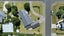 gallery view thumbnail