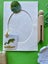 Junk Journal Bundle - Green Tone Carousel 10