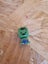 Marvel Blokhed Miniature / Collectable - The Hulk Carousel 1