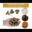 Brass Door Knob 20 Pieces Vintage Brass Handles Furniture Knobs Drawer Door Carousel 2