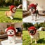 Autumn And Winter Warm Windproof Halloween Knitted Fighting Dog Hat Carousel 4