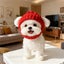 Autumn And Winter Warm Windproof Halloween Knitted Fighting Dog Hat Carousel 5