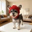 Autumn And Winter Warm Windproof Halloween Knitted Fighting Dog Hat Carousel 6