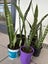 Loading Image 1 of 5