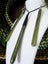 Pounamu set Carousel 2