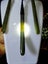 Pounamu set Carousel 3