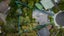 gallery view thumbnail