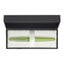 Pilot MR3 Fountain Pen Medium Light Green (FP-MR3-M-MB) Carousel 2