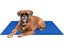 Pet Cooling Mat - (NZ Clearance) Carousel 2