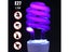 Blacklight UV Bulb UV Light Carousel 9