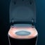 Electric Intelligent Toilet Cover Seat Carousel 6