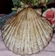Shell art - Pink Pressed Flower with a Golden Stand Carousel 10