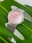 Dior Diamond Mother of Pearl Dial Diamond Bezel Steel Ladies Bracelet Wristwatch Carousel 1