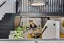 gallery view thumbnail