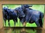 Panasonic 48” 4k oled smart tv with remote Carousel 7