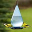 Droplet Bird Waterer Bird Feeder Hanging Wild Bird Feeder Squirrel Proof Seed Fo Carousel 8