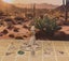 Desert Wilderness Scatter Sets Dungeons and Dragons dice4dungeons Table Ready Carousel 7