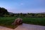 gallery view thumbnail