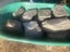 Schist rocks from South Island, good for fish tanks or garden ornaments etc. Carousel 2