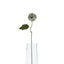 Hill Interiors Chrysanthemum Artificial Flower Carousel 2