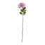 Hill Interiors The Natural Garden Collection Carousel 1