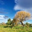gallery view thumbnail