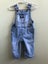 Osh Kosh B'gosh Overalls Blue Size 6 Months Carousel 1