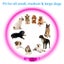 3 Mode Led Dog Collar Usb Rechargeable Detachable & Glowing Pet Safety Necklace Carousel 4