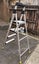 Werner Twin Platform Step Stool Ladder 4 Step Aluminium Carousel 3