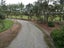 gallery view thumbnail