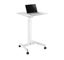Mobile Standing Desk portable laptop desk Carousel 1