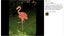 Flamingo Solar Lights NZ Clearance Carousel 5