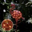 Flamingo Solar Lights NZ Clearance Carousel 10