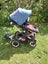 Bugaboo buffalo pram with extras (+adapter for maxi cosi +attachable scooter ) Carousel 4