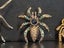 $1R: Exotic 3 Crystal Spiders Brooches + 2 Certified Möbius strip couple rings Carousel 1