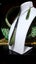 Pounamu /Greenstone Carousel 3