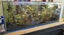 Large fish tank complete set up Carousel 3